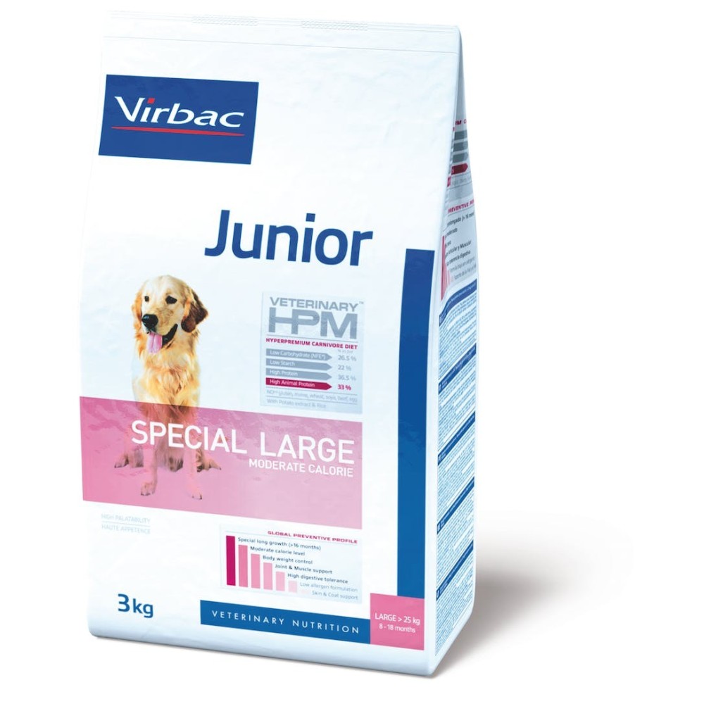 Junior Special Large