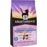 Ideal Balance Kitten with chicken and rice