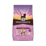 Ideal Balance Adult with chicken and rice