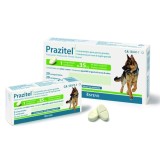 Prazitel XL 1 Comprimido