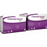Carprodyl 100 Comprimidos