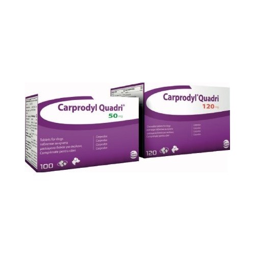 Carprodyl 100 tablets