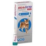 Bravecto Plus small cats