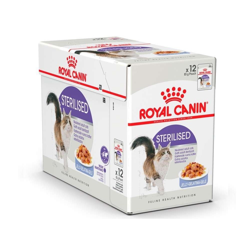 royal canin 37
