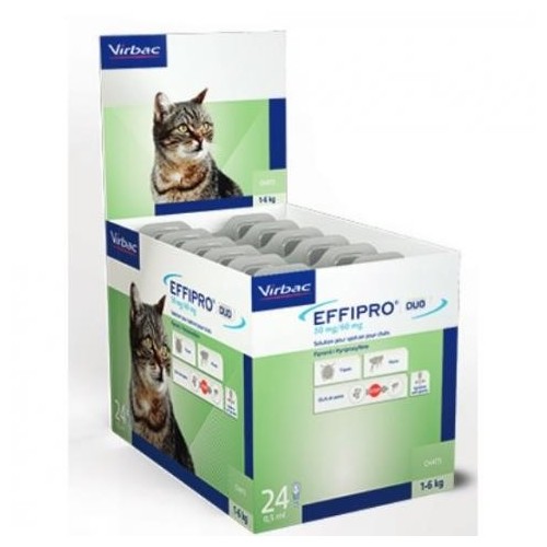 EFFIPRO 50 mg. 24 pipettes cats