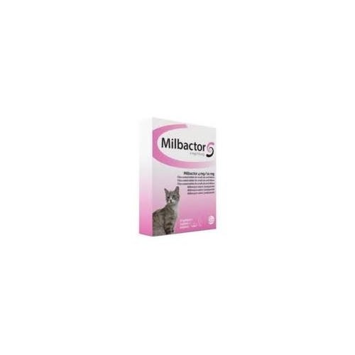 Milbactor pour chat