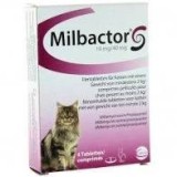 Milbactor cat