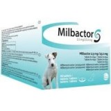 Milbactor small dog