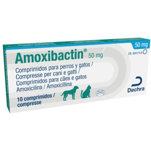 Amoxibactin comprimidos