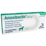 Amoxibactin tablets