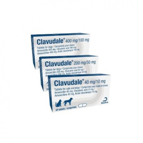 Clavudale 400/100 mg 24 comprimés