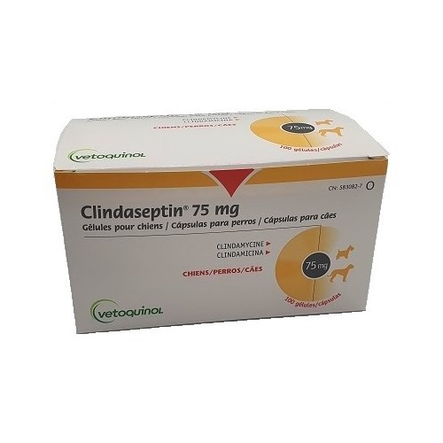 Clindaseptin capsulas