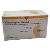 Clindaseptin capsules