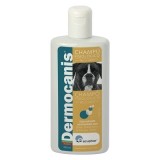 Shampoo Dermocanis Shorthair