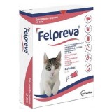 FELPREVA Small cat (1-2.5 kg)