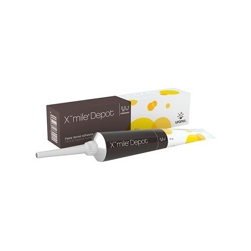 Xmile Plus 50 g. enzymatic dental gel