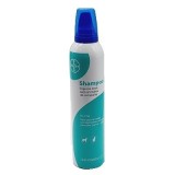 Dry Foam Shampoo Sano & Bello300 ml
