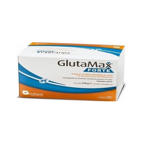 GLUTAMAX FORTE comprimidos