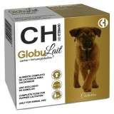 GLOBULAIT chien