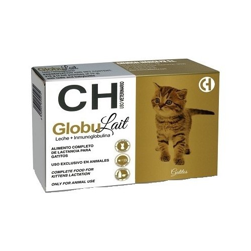 GLOBULAIT gatinhos