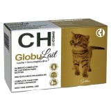 GLOBULAIT Gatitos