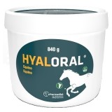 Hyaloral Equino 840 g.