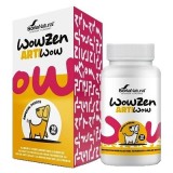 ARTIWOW  CHIEN 10 KG (Soria Natural)