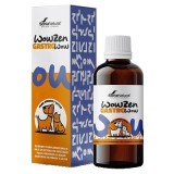 GASTROWOW PERROS-GATOS (Soria natural)