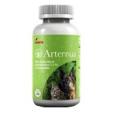Artennua 475 mg