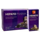Hepato Pharma
