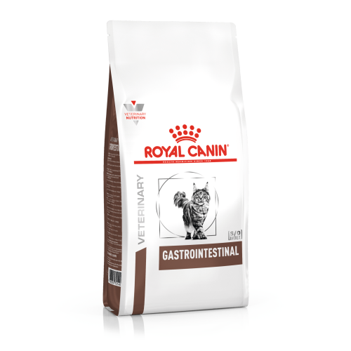 Gastrointestinal Feline