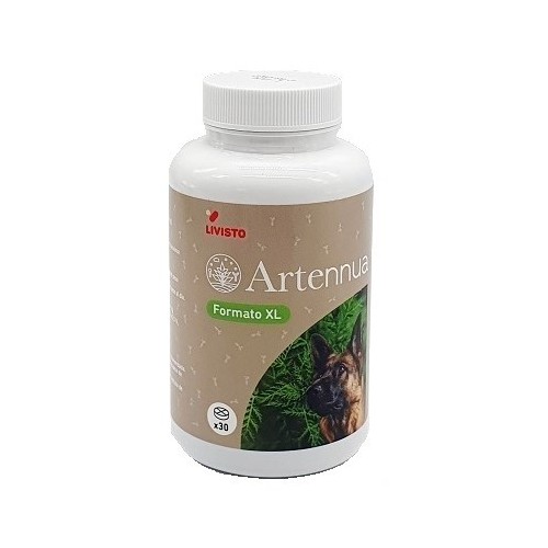 ARTENNUA 950 mg XL