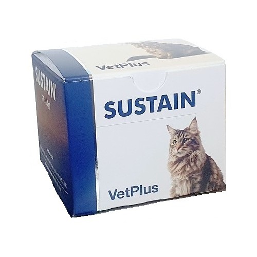 Sustain Chats