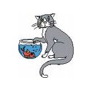 Advance Chats Spécialités