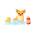 Shampooings dermatologiques